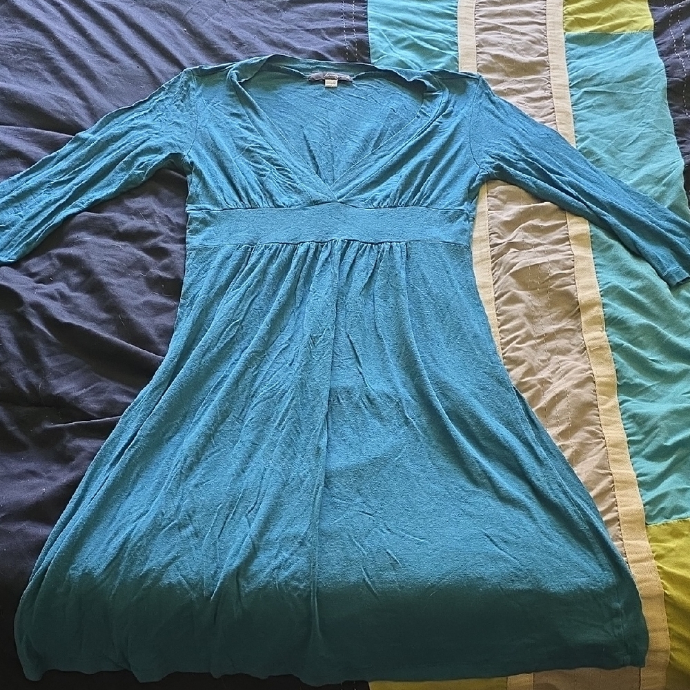 Forever 21 Blue Ruched Long Sleeve Sundress